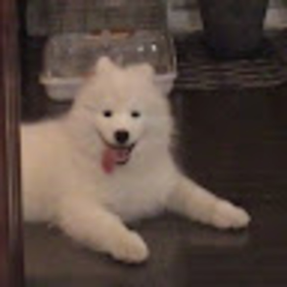 jessie_yao